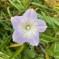 IMG_3208.jpg