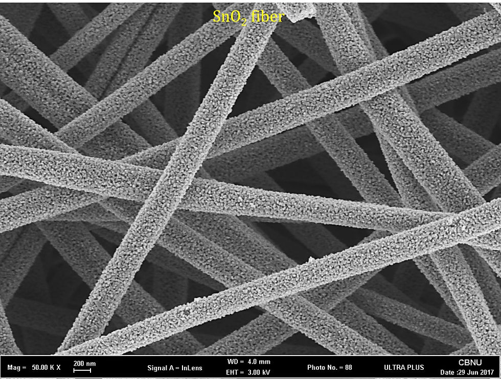 SnO2 fiber