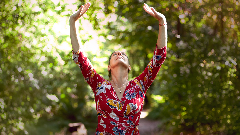 Stage Qigong du Printemps 2