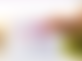 Por qué las elecciones presidenciales son el 5 de noviembre, cómo se decide esta fecha y por qué ningún presidente puede cancelarlas