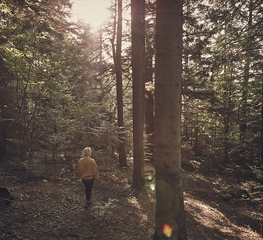Girl in the Woods