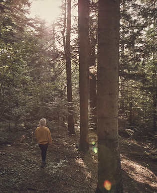Meisje in het bos