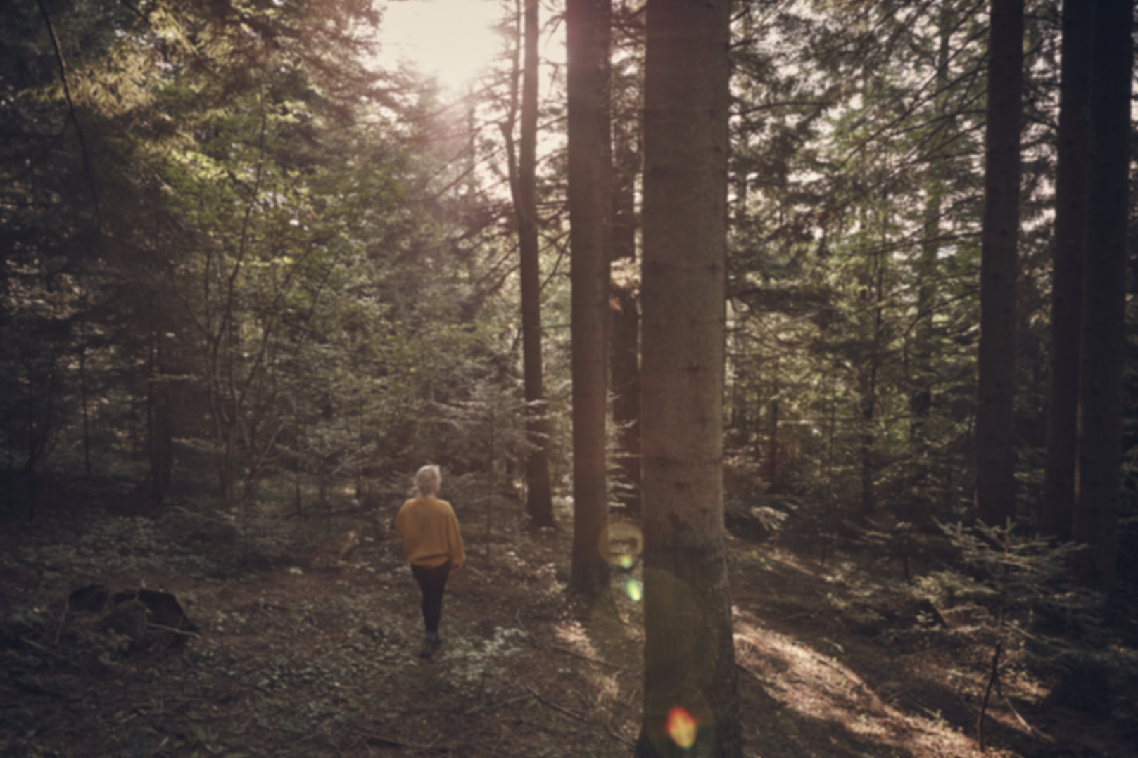 Girl in the Woods