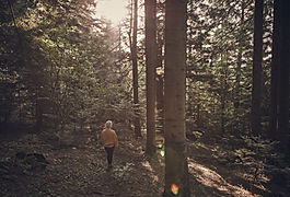 En ungdom går genom en skog med mjukt ljus mellan träden, som symbol för stöd, återhämtning och en väg framåt