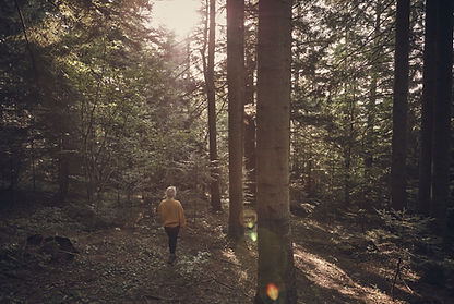 Girl in the Woods