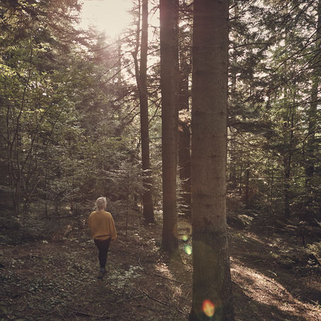 Et si une simple balade en forêt pouvait avoir un impact sur les maux physiques ou psychologiques 
