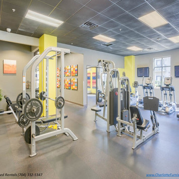 Charlotte Furnished Rentals - South Park