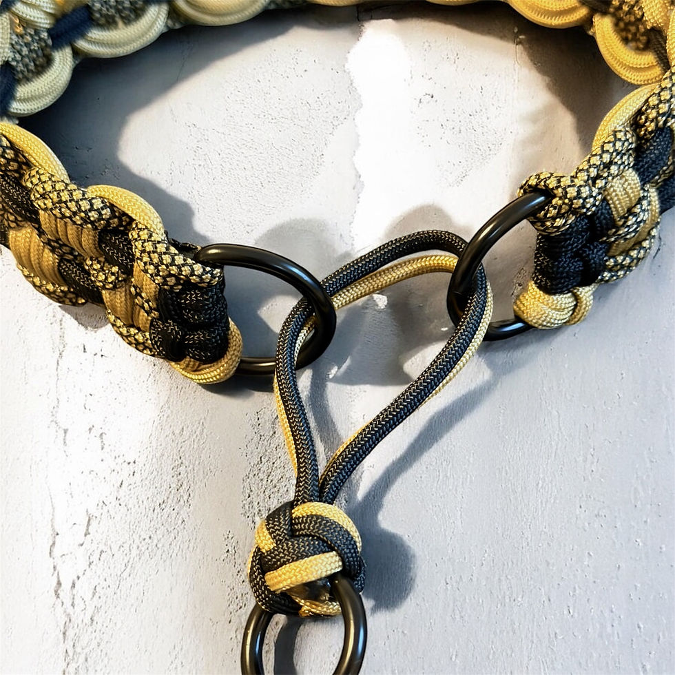 Miniaturbild:  * GOLDENEYE *