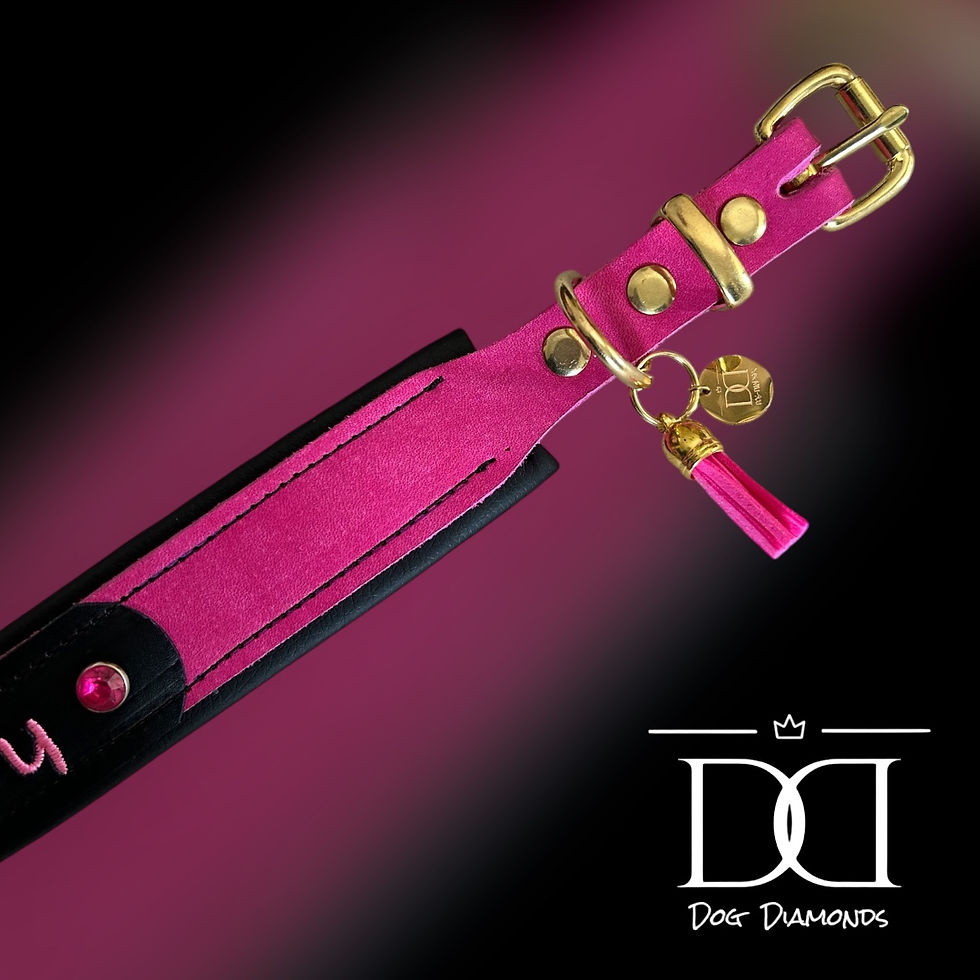 Miniaturbild: * PERSO  2 *