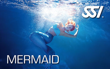 Mermaid.jpg