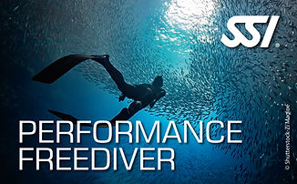 performance-freediver-ssi-course-phuket