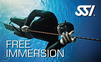 Free Immersion.jpg