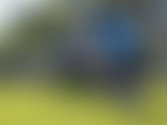 Should Parents "Go For Broke" On Youth Sports?