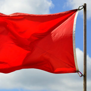 Beware of the IRS and DOL: Four Red Flags They Seek on Form 5500