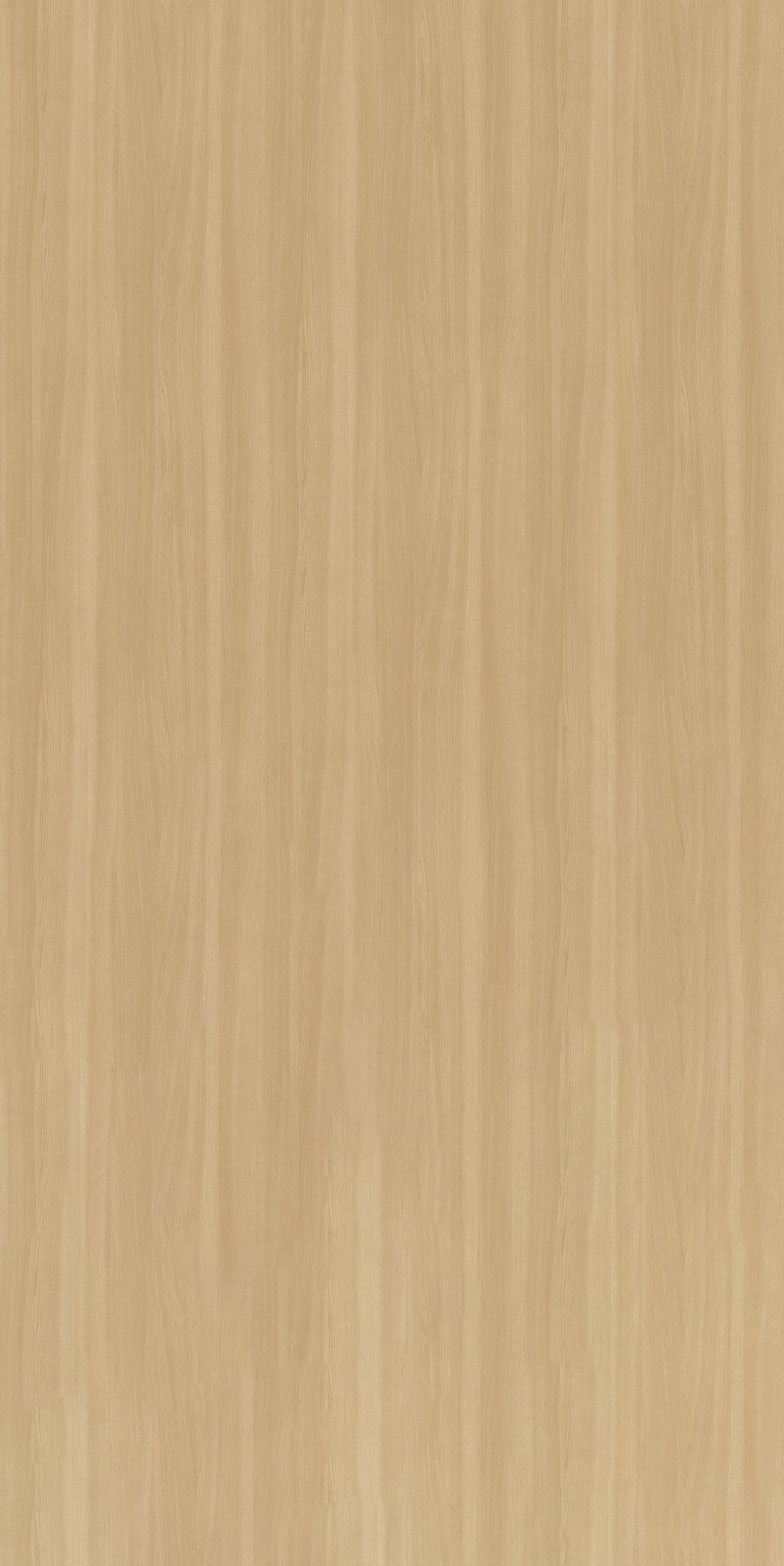 LHPP-017 香橙樺木