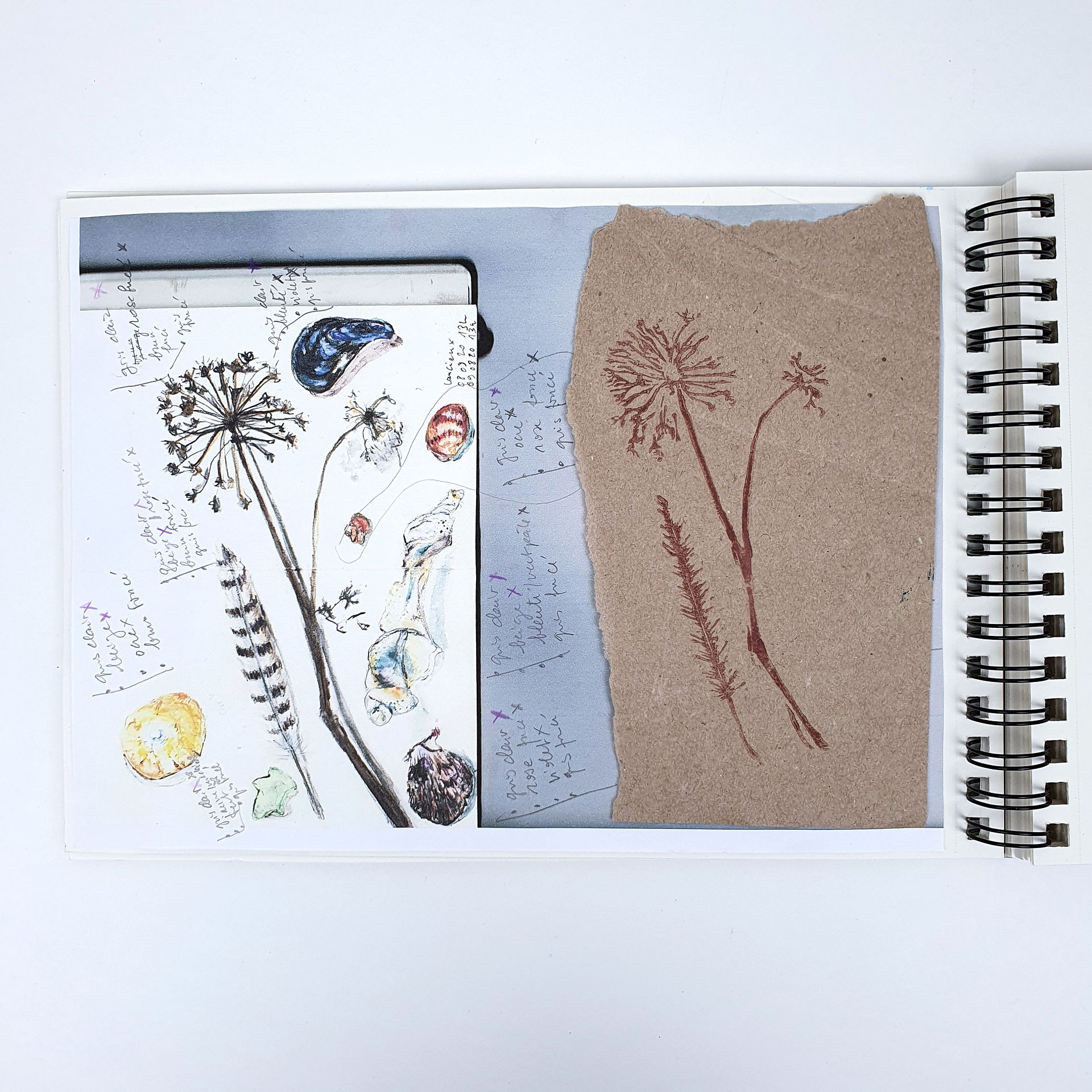 Carnet de croquis