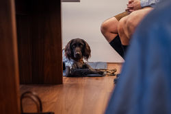 AlexGellinger Fotografie - ANNA & CHRISTIOPH-218