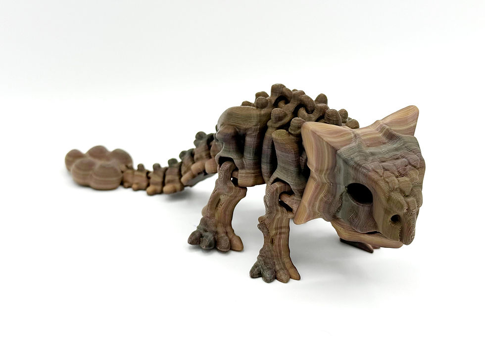 Ankylosaurus Skeleton
