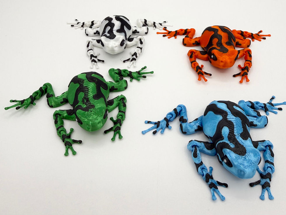 Poison Dart Frog