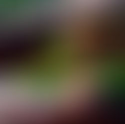 Destination Wellness