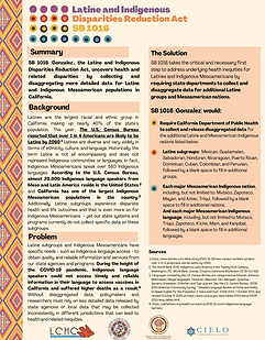 SB 1016 Factsheet (English) (1).png