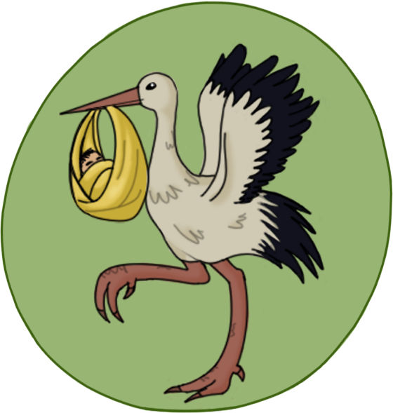 Every Birth Matters' Logo!