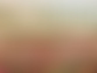 The Moment You've Been Waiting for...