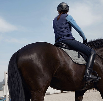Dressage Horse_edited_edited_edited.jpg