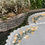 Thumbnail: Bloom Oval Halo Table Placemats Set