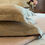 Thumbnail: Bloom Meadow Ivory Cream Bedsheet Set