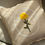 Thumbnail: Bloom Yellow Marigold Pearls Cushion Cover