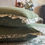Thumbnail: Bloom Forest Green Bedsheet Set