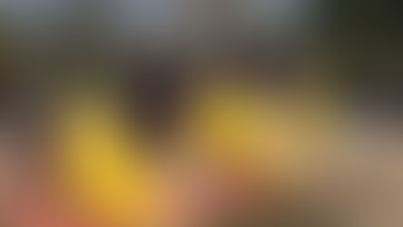 PT RIFAN FINANCINDO BERJANGKA – Amarah Ortu Lihat Video Haringga Dikeroyok Oknum Bobotoh
