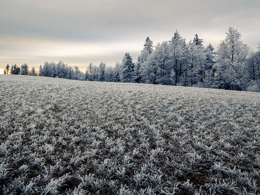איך לצלם בחורף? 9 טיפים לצילום יצירתי ומעניין בתנאים חורפיים