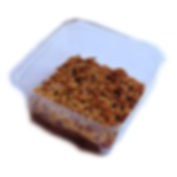 Mehlwürmer - lebend 100g