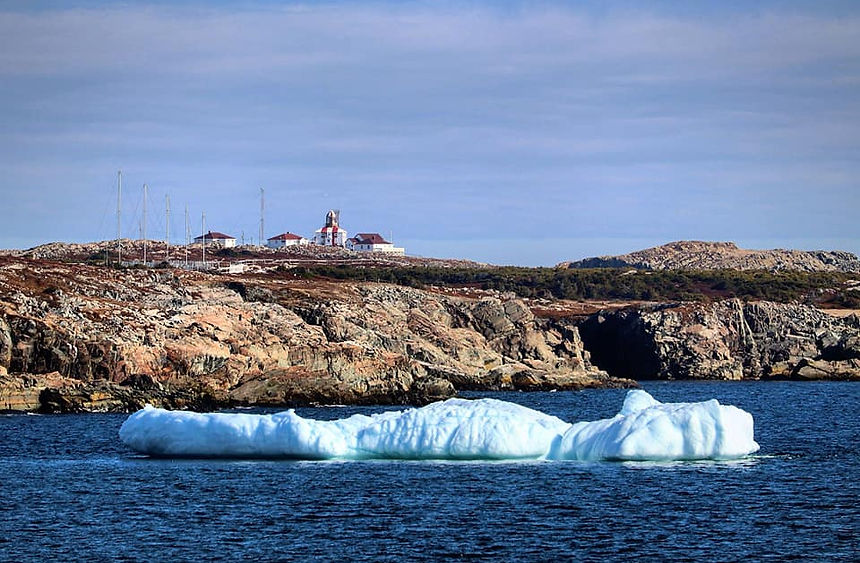 Icebergs Cape Bonavista.jpg