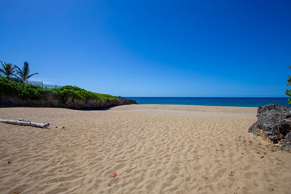 Beach 02.jpg