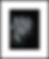 Stealth Framed.png