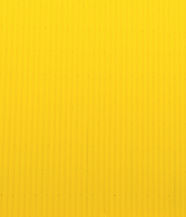 Julia Kutsaeva near yellow wall of super