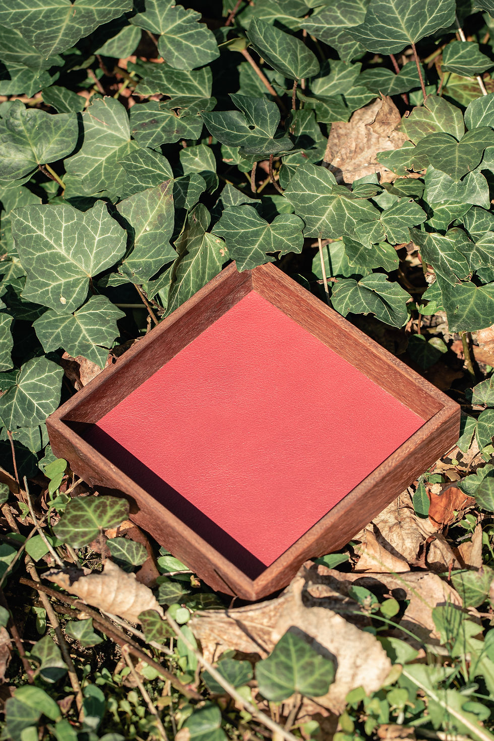 Thumbnail: Black Walnut Dice Tray
