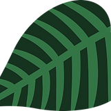 illustrated depiction of a simple leaf