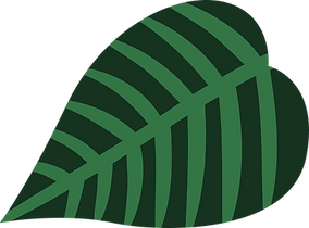 Leaf