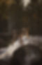 BackstromWoodwork-09.jpg