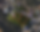 6603 Banner 2.png