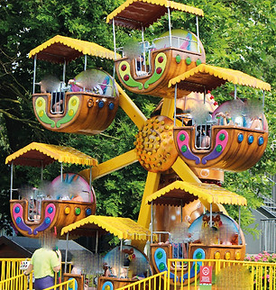 La petite roue.jpg