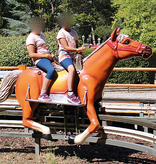 Race horse.jpg