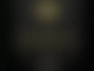 I AM PHOENIX: The 2026 Mandate