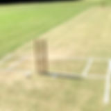 Turf Wicket Photo.jpg