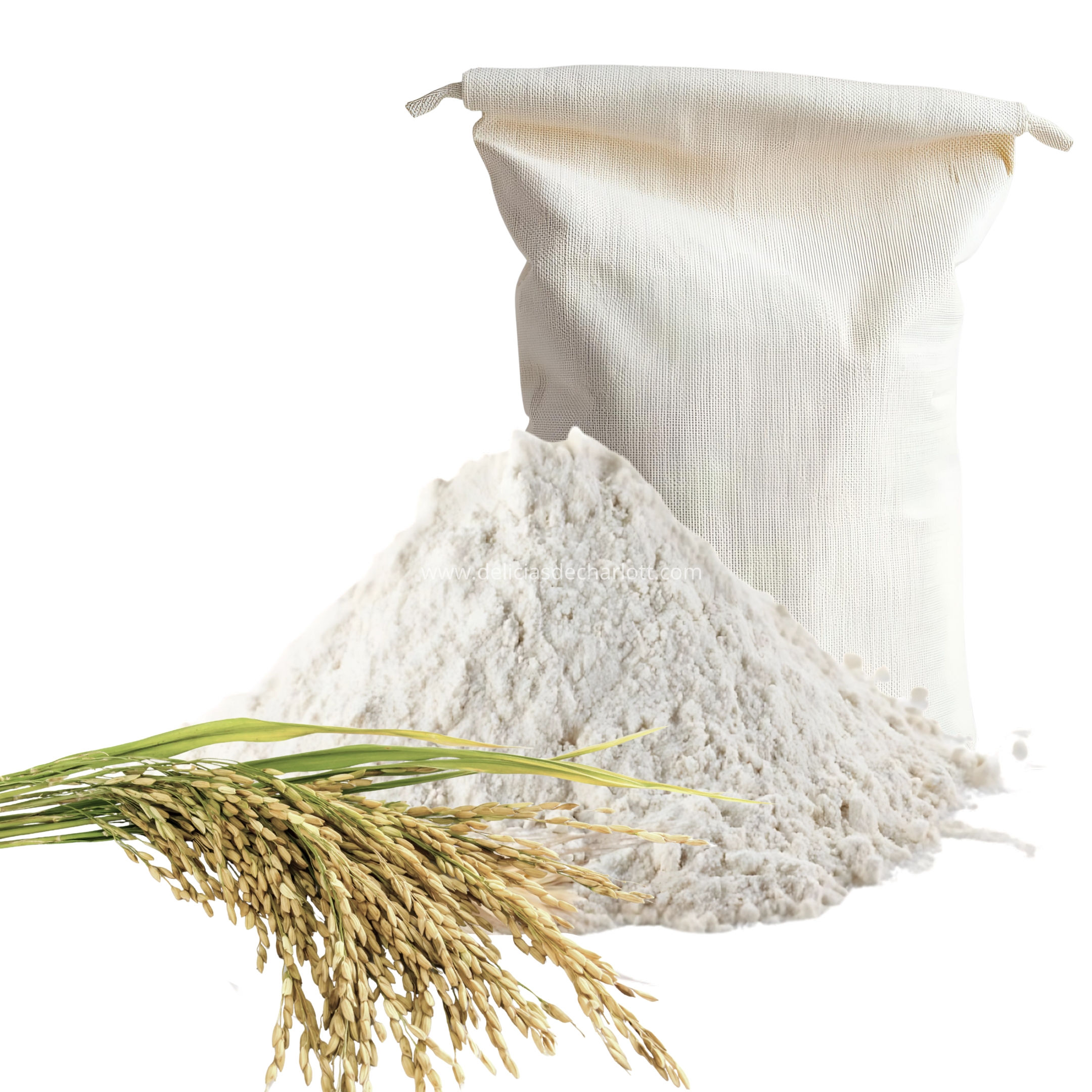 Harina de Arroz