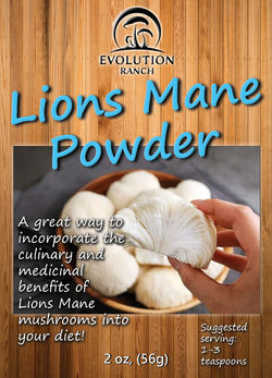 Lions Mane Powder Front 1 up New Logo - Copy